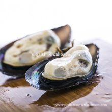 Frozen seafood mussel meat